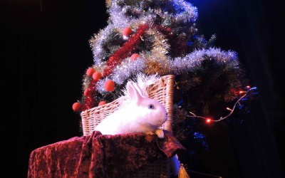 Spectacle de magie : Un Noël de magicien