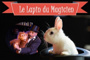 Le Lapin du magicien dans le chapeau
